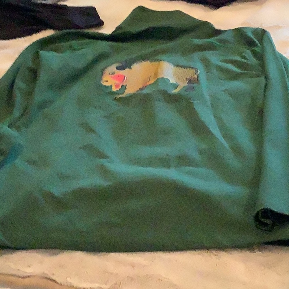Bamboo Green Crew Neck Sweater Tasc no tag new